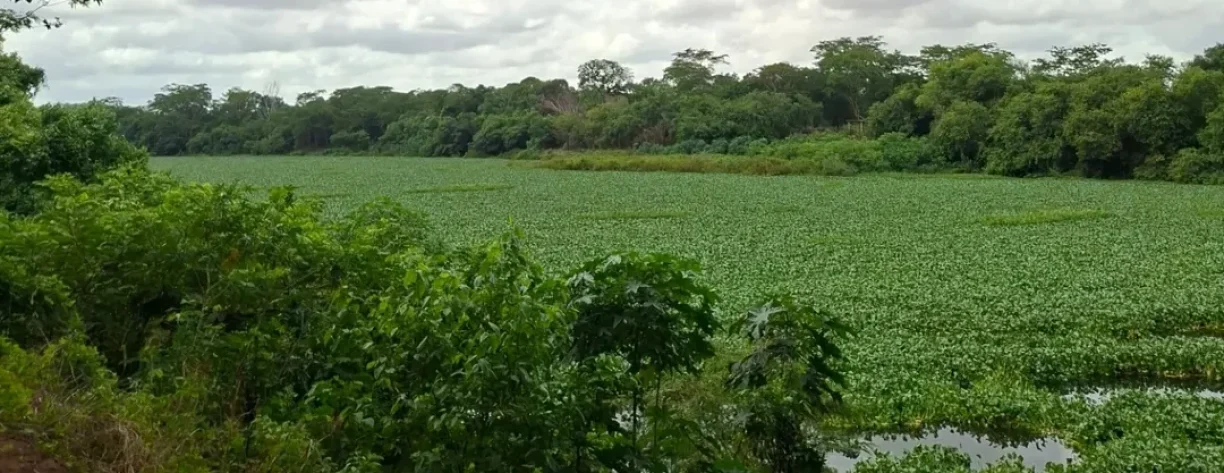 SaveClip.App_629058080_17987124248936790_8630194690204351480_n